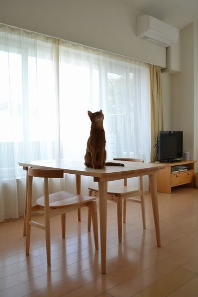 テレワークテーブル